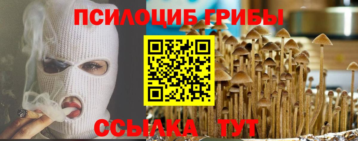 Галлюциногенные грибы GOLDEN TEACHER  Вход с VPN  Орехово-Зуево 